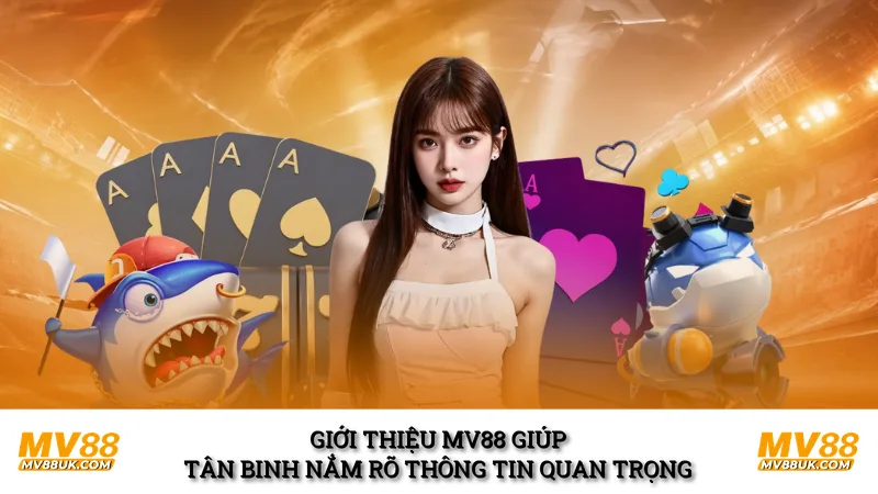 Giới thiệu MV88 giúp tân binh nắm rõ thông tin quan trọng